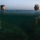 Image: Alexandre Meneghini / Sony World Photography Award